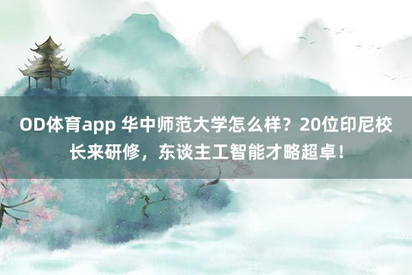 OD体育app 华中师范大学怎么样？20位印尼校长来研修，东谈主工智能才略超卓！