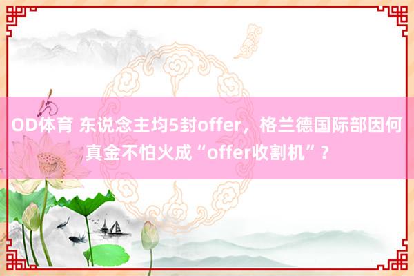 OD体育 东说念主均5封offer，格兰德国际部因何真金不怕火成“offer收割机”？