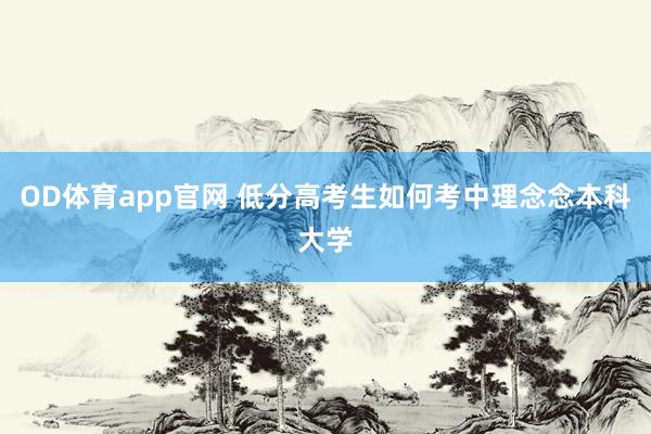 OD体育app官网 低分高考生如何考中理念念本科大学