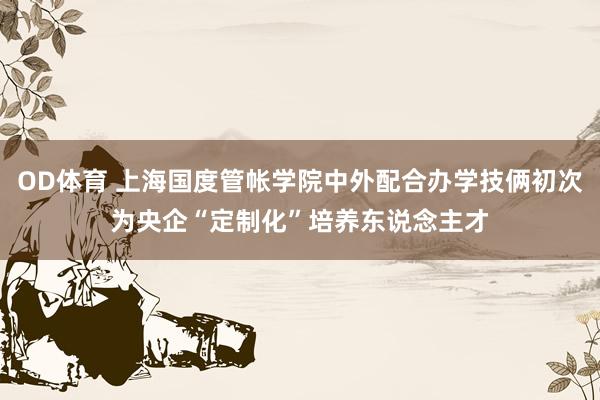 OD体育 上海国度管帐学院中外配合办学技俩初次为央企“定制化”培养东说念主才