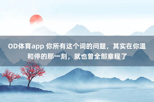 OD体育app 你所有这个词的问题，其实在你温和停的那一刻，就也曾全部章程了