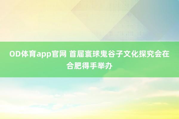 OD体育app官网 首届寰球鬼谷子文化探究会在合肥得手举办