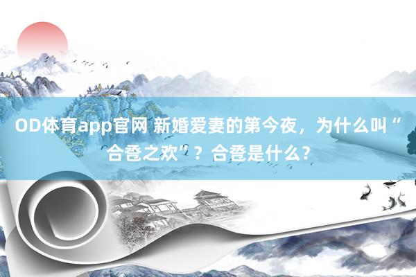 OD体育app官网 新婚爱妻的第今夜，为什么叫“合卺之欢”？合卺是什么？