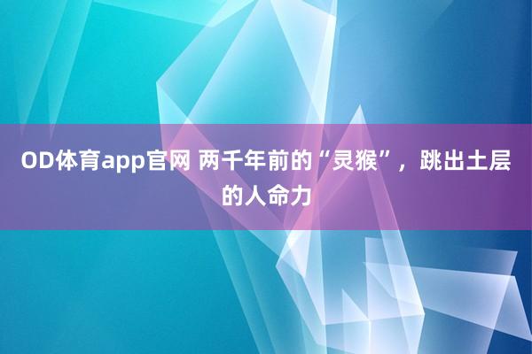 OD体育app官网 两千年前的“灵猴”，跳出土层的人命力
