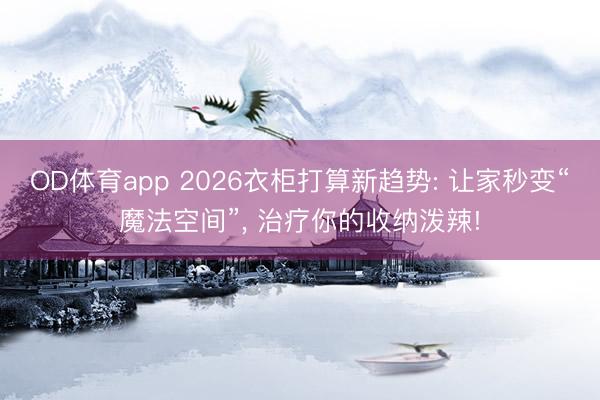 OD体育app 2026衣柜打算新趋势: 让家秒变“魔法空间”, 治疗你的收纳泼辣!