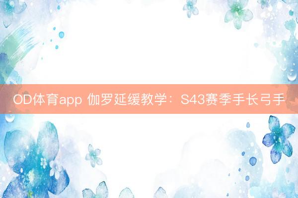 OD体育app 伽罗延缓教学：S43赛季手长弓手