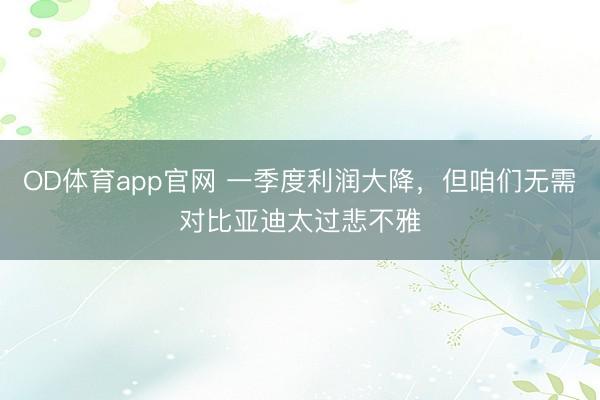 OD体育app官网 一季度利润大降，但咱们无需对比亚迪太过悲不雅
