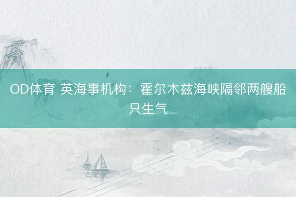 OD体育 英海事机构：霍尔木兹海峡隔邻两艘船只生气
